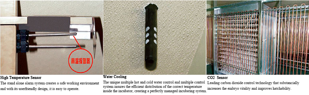 Single Stage Incubator Single Stage Incubator