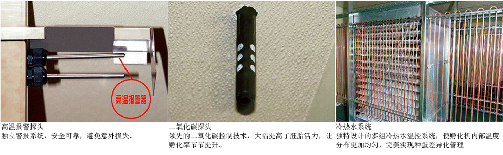 單階段大型孵化機(jī)